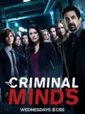 犯罪心理第十三季全集Criminal Minds迅雷下载