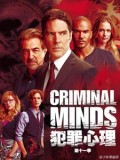 犯罪心理第十一季全集Criminal Minds迅雷下载