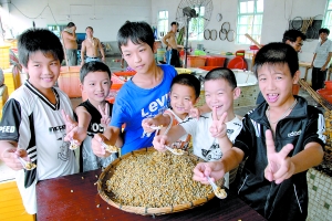吃潮汕菜体验盛夏澄海薄壳肥