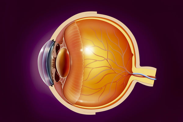 谣言第166期：眼睛里有血丝代表有疾病？