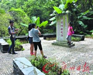 屠呦呦获诺贝尔奖消息传出，众多游客到罗浮山青蒿园参观留影