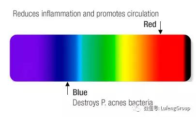 蓝光可激发痤疮丙酸杆菌代谢物可直接杀灭靶组织内痤疮丙酸杆菌