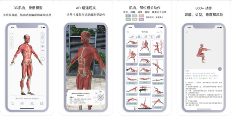 上线4月冲到iPad健康排行榜第一，「运动解剖」想