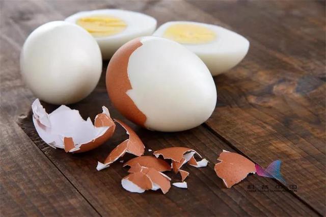 讲真，生吃鸡蛋更有营养吗？真相清楚了