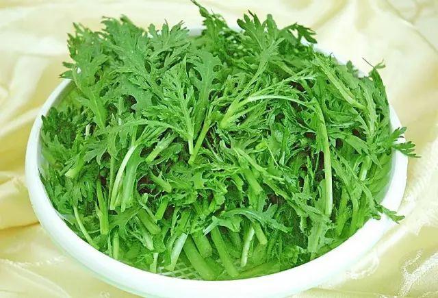 「王兴国」推荐营养最佳的十种绿叶蔬菜