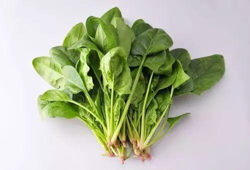 「王兴国」推荐营养最佳的十种绿叶蔬菜