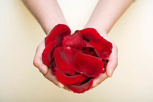 玫瑰花是著名的理气药，是舒肝理气的常用食物之一