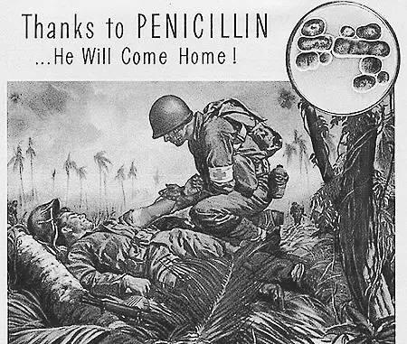 【科普】抗生素：二战最伟大的发明！