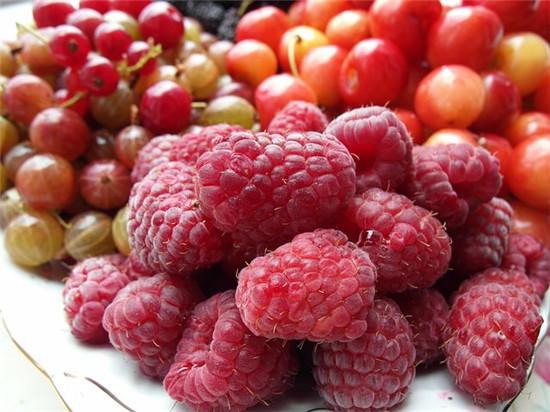 常吃这些水果有助于扩张血管，维持血管弹性，便宜又营养