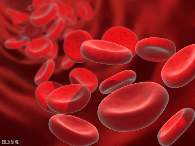 血液病大多都是造血功能差，患者该怎么办呢？
