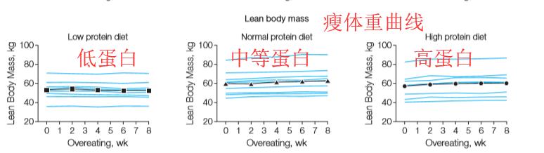 当普通人不健身，摄入额外蛋白质，会增加肌肉吗？
