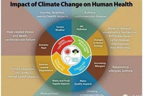 气候医学与健康, 气候变化诱发新病种