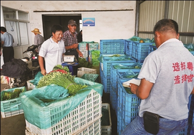 来南村：药材和蔬菜铺就脱贫路，到年底100%脱贫