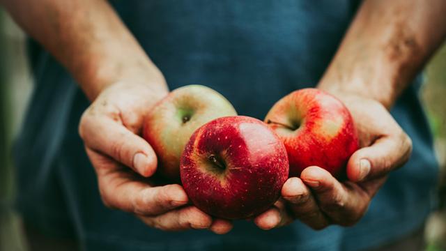 每天一个苹果，营养够不够？安利纽崔莱专家给你解答