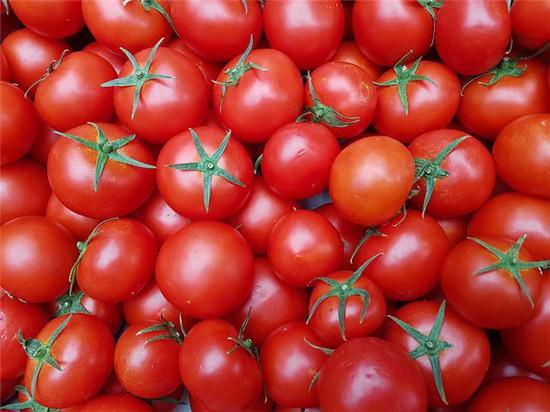 西红柿生怎么吃营养价值最高？生吃还是过油炒？最好不要选错了