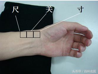 中医的“把脉”是什么原理？中医手把手教你10分钟学会号脉！