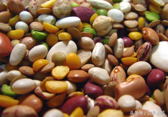 营养专家分享豆类的营养知识