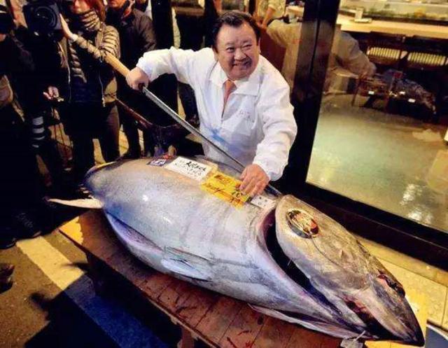 它曾是日本“最廉价”的鱼，100年后，一条便要1000万的天价