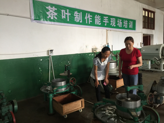 专家一出手，茶农增收三千元―湘阴县玉华镇迎来一场“科技及时雨”